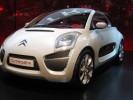 Citroen_concept_x.JPG