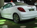 Peugeot_207_Epura_2.JPG